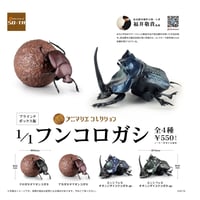 【数量限定復活】アニマリエコレクション 1/1 フンコロガシ【1BOX／4個入り】(2月下旬発送予定)