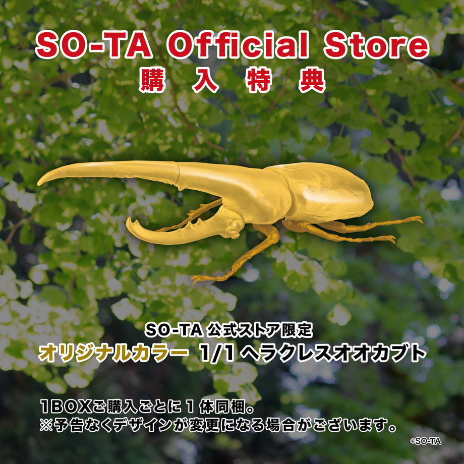 63f4369997c2457a9136bc78